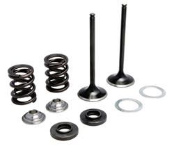 96-96070 INTAKE ONLY - STEEL VALVE & SPRING KIT