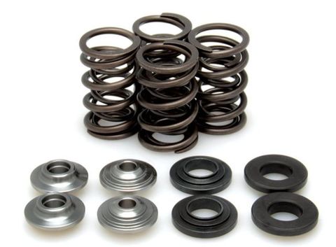 96-96090 Spring Kit, 0.425 Lift, KTM, 250 (RC4 E