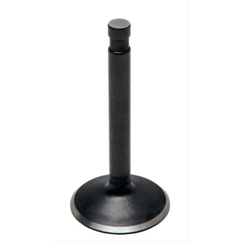 20-4101 INTAKE VALVE, STANDARD, BLACK DIAMOND