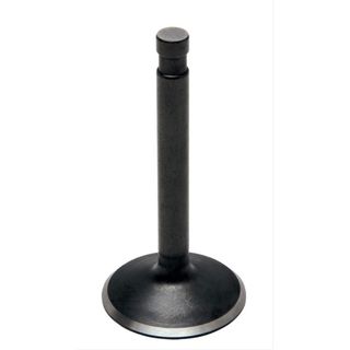 20-4102 EXHAUST VALVE, STANDARD, BLACK DIAMOND