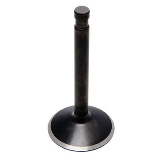 20-4195 EXHAUST VALVE, STANDARD, BLACK DIAMOND