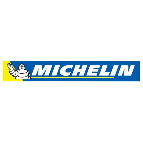 06-90012 MICHELIN LOGO DEALER 5 PACK