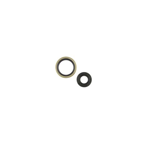 C7704 CRANK SEAL KIT RM 250 1994-1995