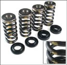 Ape Valve Spring Kit Honda Crf450R '02-08