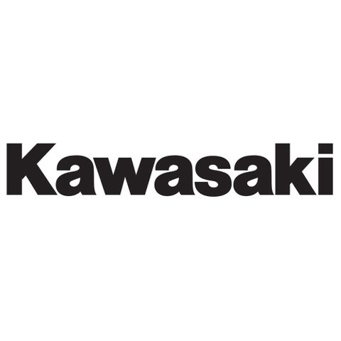 09-90101 KAWASAKI LOGO DEALER 5 PACK