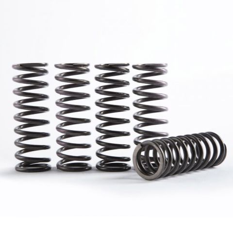 HN-CS341-5-0515 HI-TEMP SPRING KITâSET OF 5 YZ250F 14-17