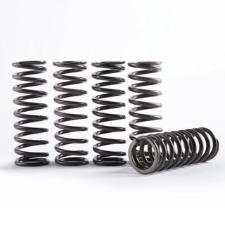 Hinson Hi-Temp Clutch Spring Kit - Set Of 5 Yamaha Wr250F 2015-2018