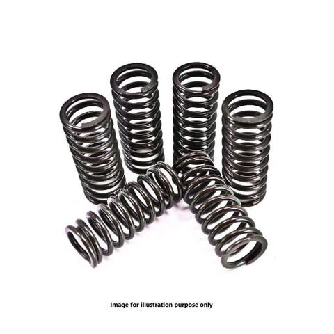 501-25-06043 CLUTCH SPRING KIT