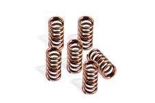 Barnett Ducati Clutch Spring Kit