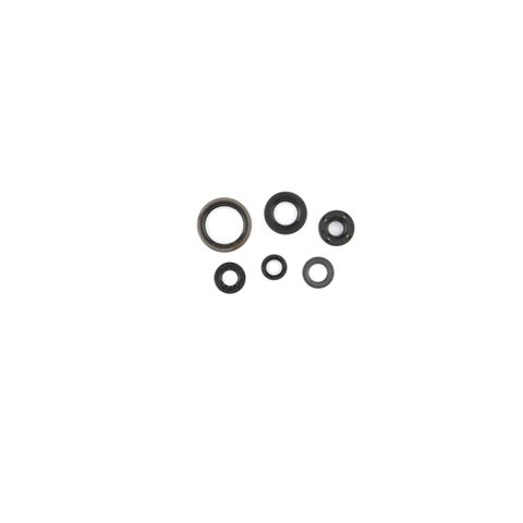 C3561OS OIL SEAL KIT WR250F  2001-13