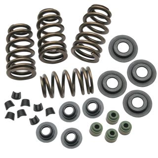 S&S Sidewinder .650" Valve Spring Kit For 2005-'18 Big Twins And 2004-'19 Hd Sportster Models