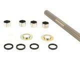 Pivotworks Gas Gas Swingarm Kit