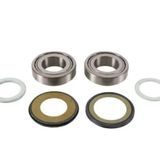 Pivotworks Steering Stem Bearing Kits