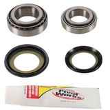 Pivotworks Steering Stem Bearing Kits