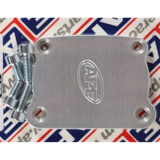 Ape Kick Start Block Off Cover Kawasaki Kz900/1000 Thru '80