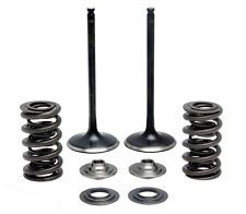 60-60470 INTAKE ONLY - STEEL VALVE & SPRING KIT