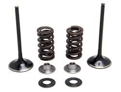 60-60450 INTAKE ONLY - STEEL VALVE & SPRING KIT