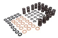 60-60600 Spring Kit, 0.445 Lift, Suzuki, GSX R10