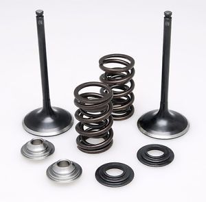 60-61000 INTAKE ONLY - STEEL VALVE & SPRING KIT