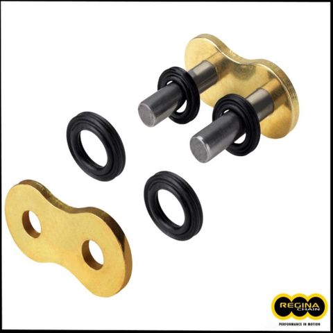 REG-19/135EBORO REGINA CONNECTING LINK (SOLID PIN)