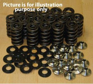 70-0300-7 Spring Kit, Cr-Si, Triumph, 650 / 750