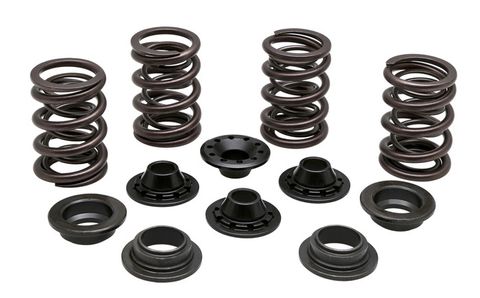 70-70450 Spring Kit, 0.460 Lift, Triumph, 750.