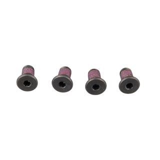 Wiseco Fastener - M6 X 16Mm (4)