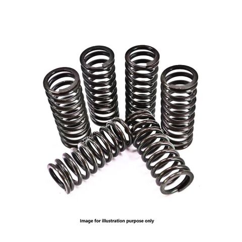 MT-99-5 CLUTCH SPRING SET.