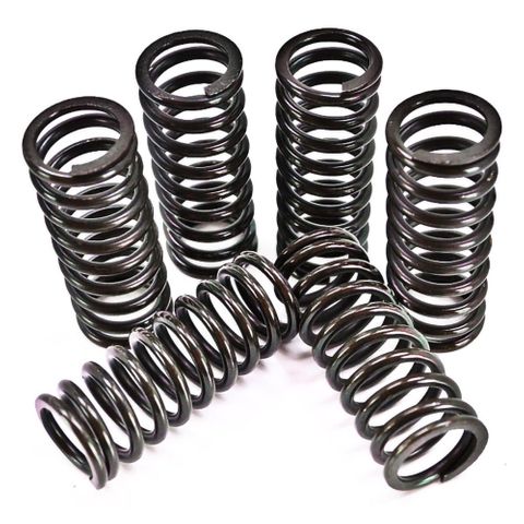 501-58-03121 CLUTCH SPRING SET.