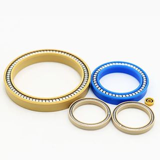 51A3816 PHUZION. Gas Energized Seal Rings