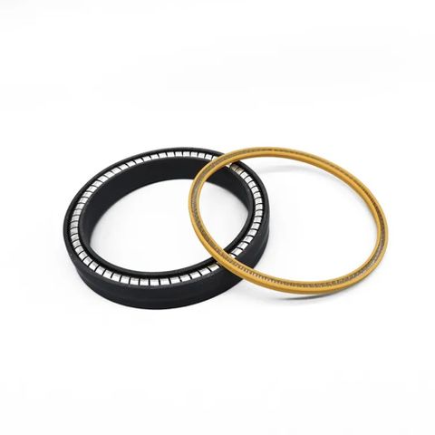 51A4295 PHUZION. Gas Energized Seal Rings