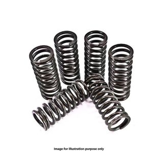 Barnett Spring Kits