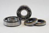 Kawasaki Main Bearing Kit