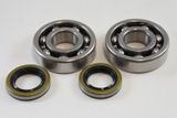 Kawasaki Main Bearing Kit