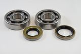 VIN-KMB010 KX250 1974-79 Main Bearing Kit