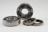 VIN-KMB010 KX250 1974-79 Main Bearing Kit