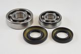 Suzuki Main Bearing Kit