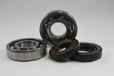 Honda Main Bearing Kit