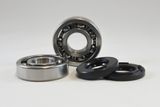 Suzuki Main Bearing Kit