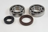 VIN-KMB020 RM250 1981 Main Bearing Kit