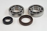 VIN-KMB020 RM250 1981 Main Bearing Kit