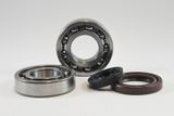 VIN-KMB020 RM250 1981 Main Bearing Kit