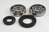 Suzuki Main Bearing Kit