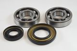 Suzuki Main Bearing Kit