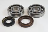 Suzuki Main Bearing Kit