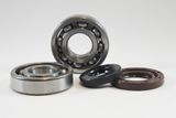 Suzuki Main Bearing Kit