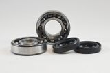 Yamaha Main Bearing Kit