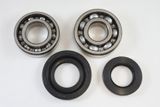 Suzuki Main Bearing Kit