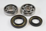 Suzuki Main Bearing Kit