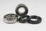 Suzuki Main Bearing Kit